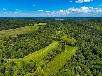 Undeveloped Land in Crittenden County, Kentucky