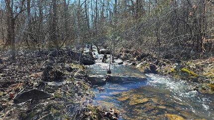 Undeveloped Land for sale in Independence County, Arkansas