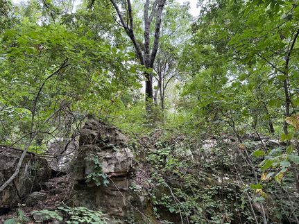 Farm and Ranch for sale in Boone County, Arkansas