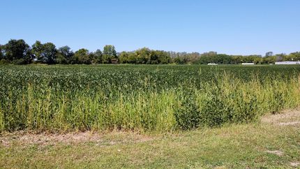 Land for sale in Delaware County, Indiana