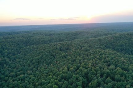 Timberland Property for sale in Randolph County, Arkansas