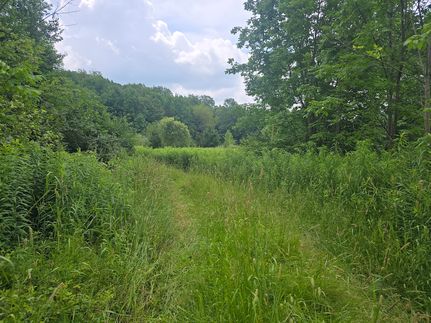 Undeveloped Land for sale in Chenango County, New York