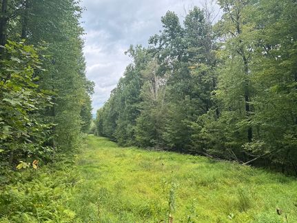 Undeveloped Land in Luzerne County, Pennsylvania