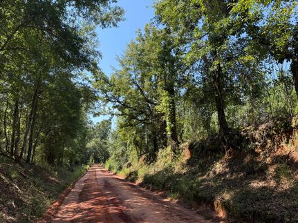Undeveloped Land in Stewart County, Georgia