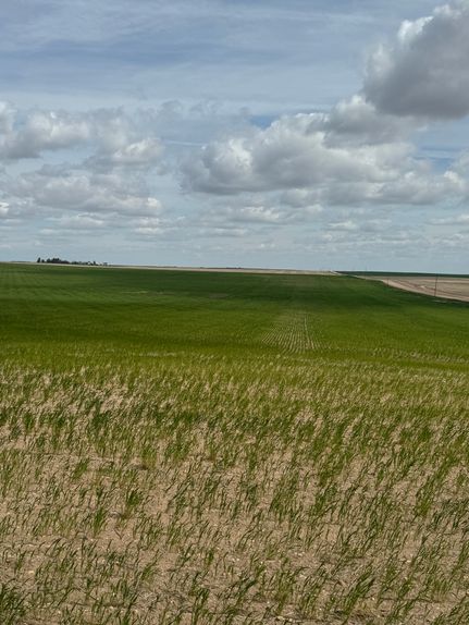 Recreational Property for sale in Cheyenne County, Nebraska