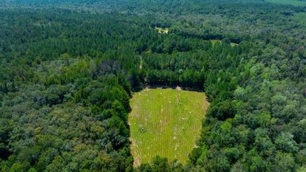 Timberland Property for sale in Taylor County, Georgia