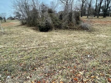 Timberland Property for sale in Newton County, Missouri