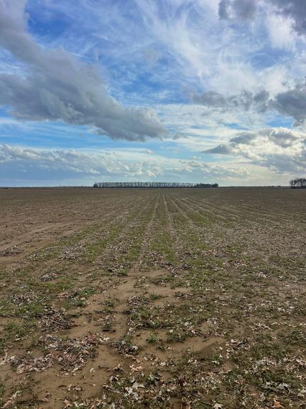 Land for sale in Humphreys County, Mississippi