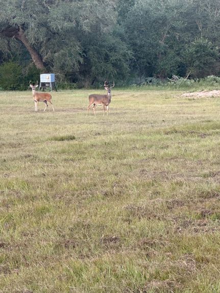 Hunting Property for sale in Lavaca County, Texas