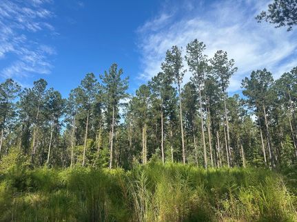Farm and Ranch for sale in Butler County, Alabama