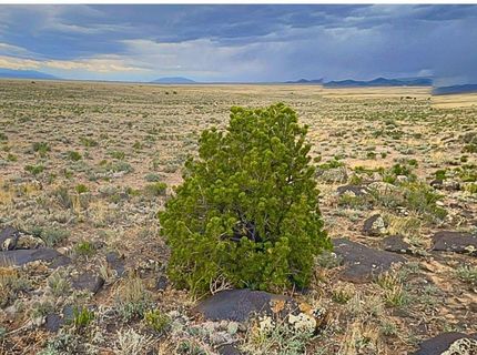 Farm and Ranch for sale in Costilla County, Colorado