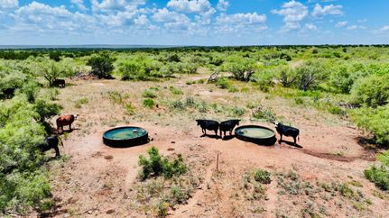 Farm and Ranch for sale in Motley County, Texas