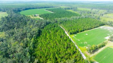 Timberland Property for sale in Atkinson County, Georgia