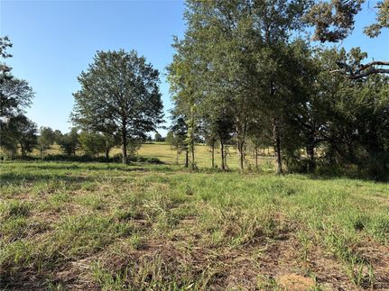 Undeveloped Land for sale in Hopkins County, Texas