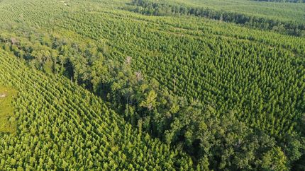 Hunting Property for sale in Perry County, Arkansas