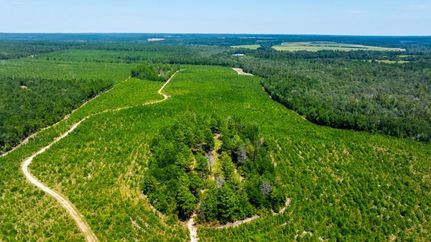 Recreational Property for sale in Taylor County, Georgia