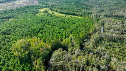 Timberland Property for sale in Macon County, Georgia