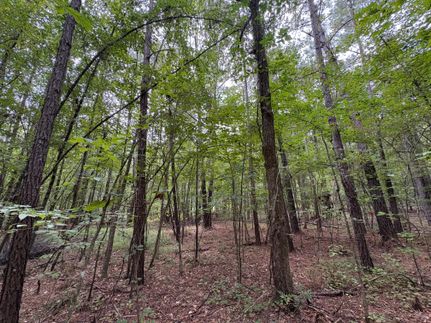 Timberland Property for sale in Russell County, Alabama