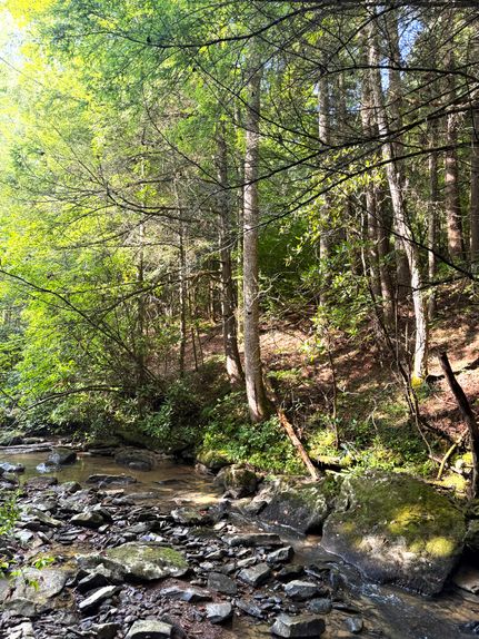 Land for sale in Scott County, Tennessee