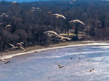 Recreational Property for sale in Pittsburg County, Oklahoma