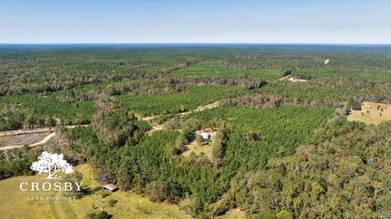 Timberland Property for sale in Burke County, Georgia