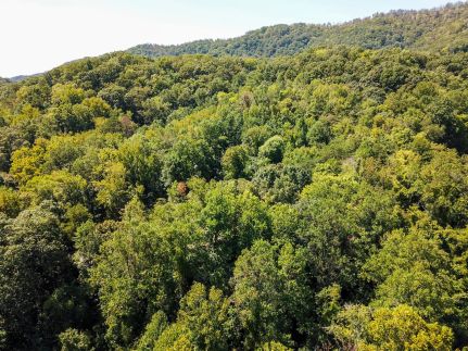 Undeveloped Land in Anderson County, Tennessee