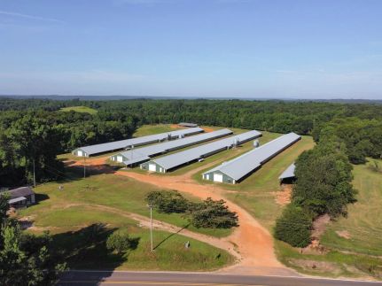 Timberland Property for sale in Lincoln Parish, Louisiana