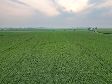 Undeveloped Land for sale in Marshall County, Illinois