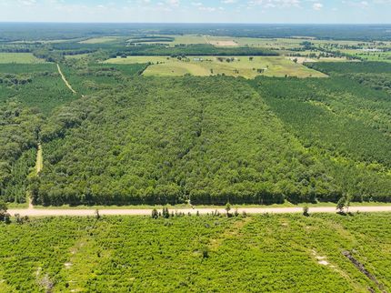 Timberland Property for sale in Sevier County, Arkansas