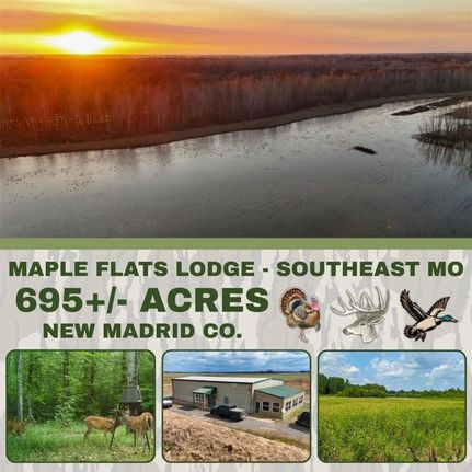 Land for sale in New Madrid County, Missouri