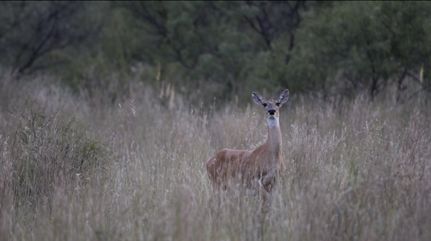 Recreational Property for sale in Donley County, Texas