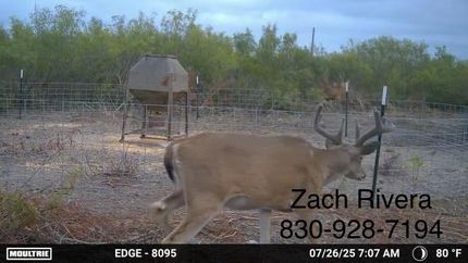 Farm and Ranch for sale in Duval County, Texas