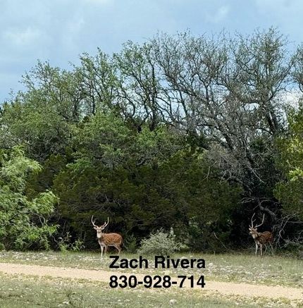 Recreational Property for sale in Menard County, Texas