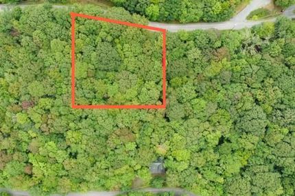 Timberland Property in Watauga County, North Carolina