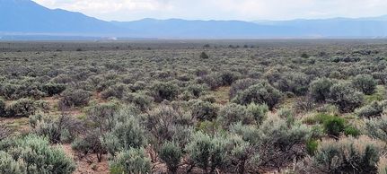 Land for sale in Taos County, New Mexico