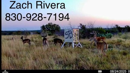 Farm and Ranch for sale in Crockett County, Texas