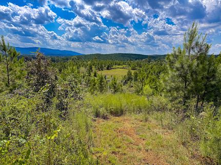Hunting Property for sale in Calhoun County, Alabama