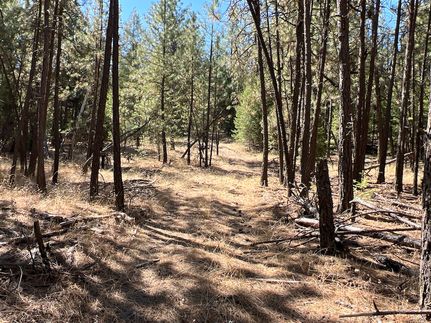 Farm and Ranch for sale in Spokane County, Washington