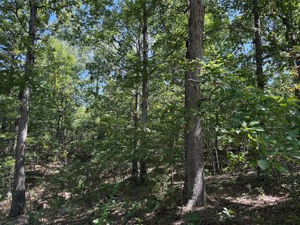 Hunting Property for sale in Izard County, Arkansas