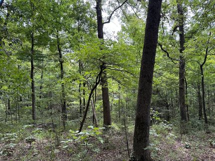Recreational Property for sale in Boone County, Arkansas