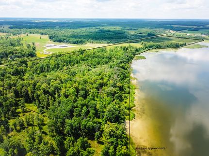 Undeveloped Land for sale in Beltrami County, Minnesota