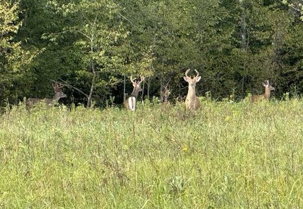 Recreational Property for sale in Marathon County, Wisconsin