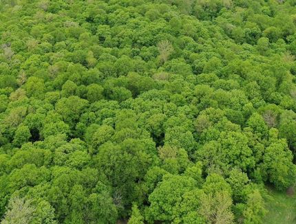 Farm and Ranch for sale in Becker County, Minnesota