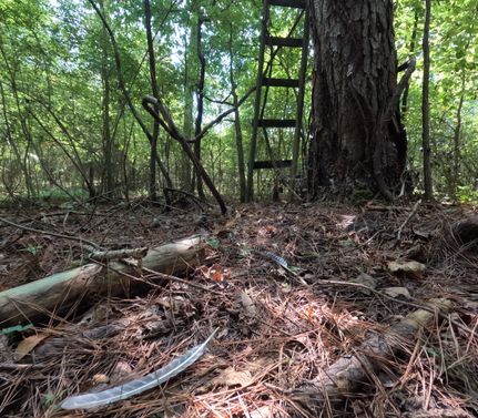Recreational Property for sale in Scott County, Mississippi