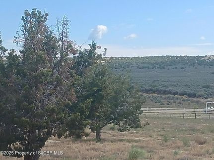 Undeveloped Land in San Juan County, New Mexico