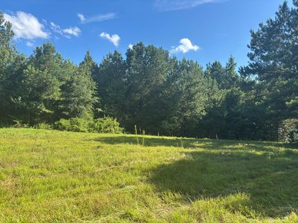 Hunting Property for sale in Pike County, Alabama