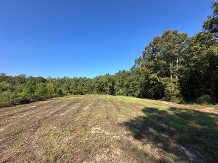 Timberland Property for sale in Conecuh County, Alabama