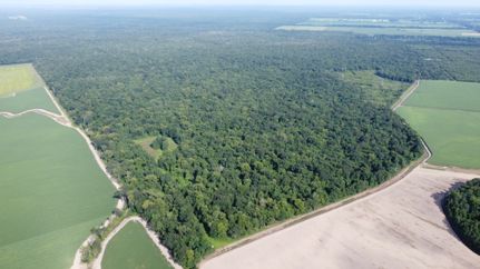 Recreational Property for sale in Iberville Parish, Louisiana