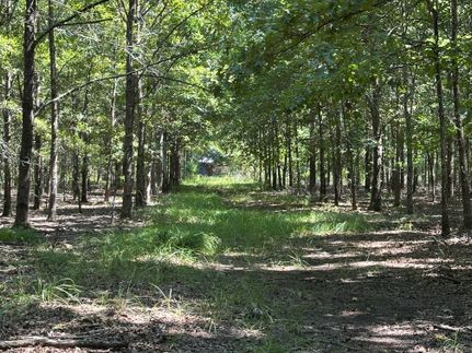 Undeveloped Land for sale in Caldwell Parish, Louisiana