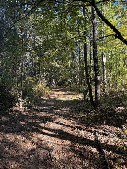 Land for sale in Leake County, Mississippi